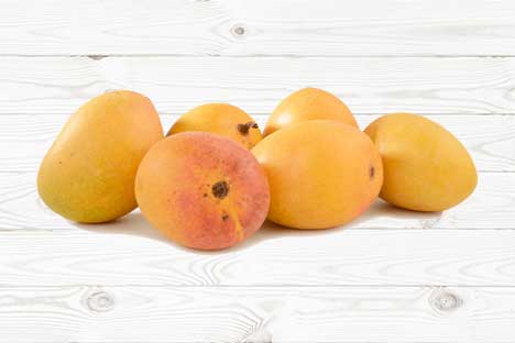 Alphonso Mangoes (Pack of 6)