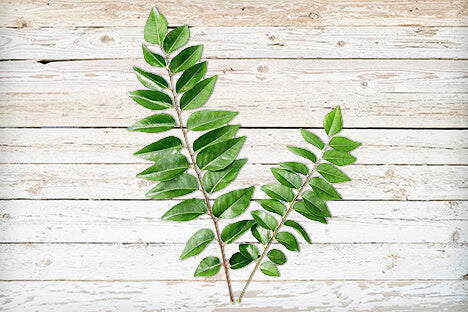 Curry leaves (each pack)